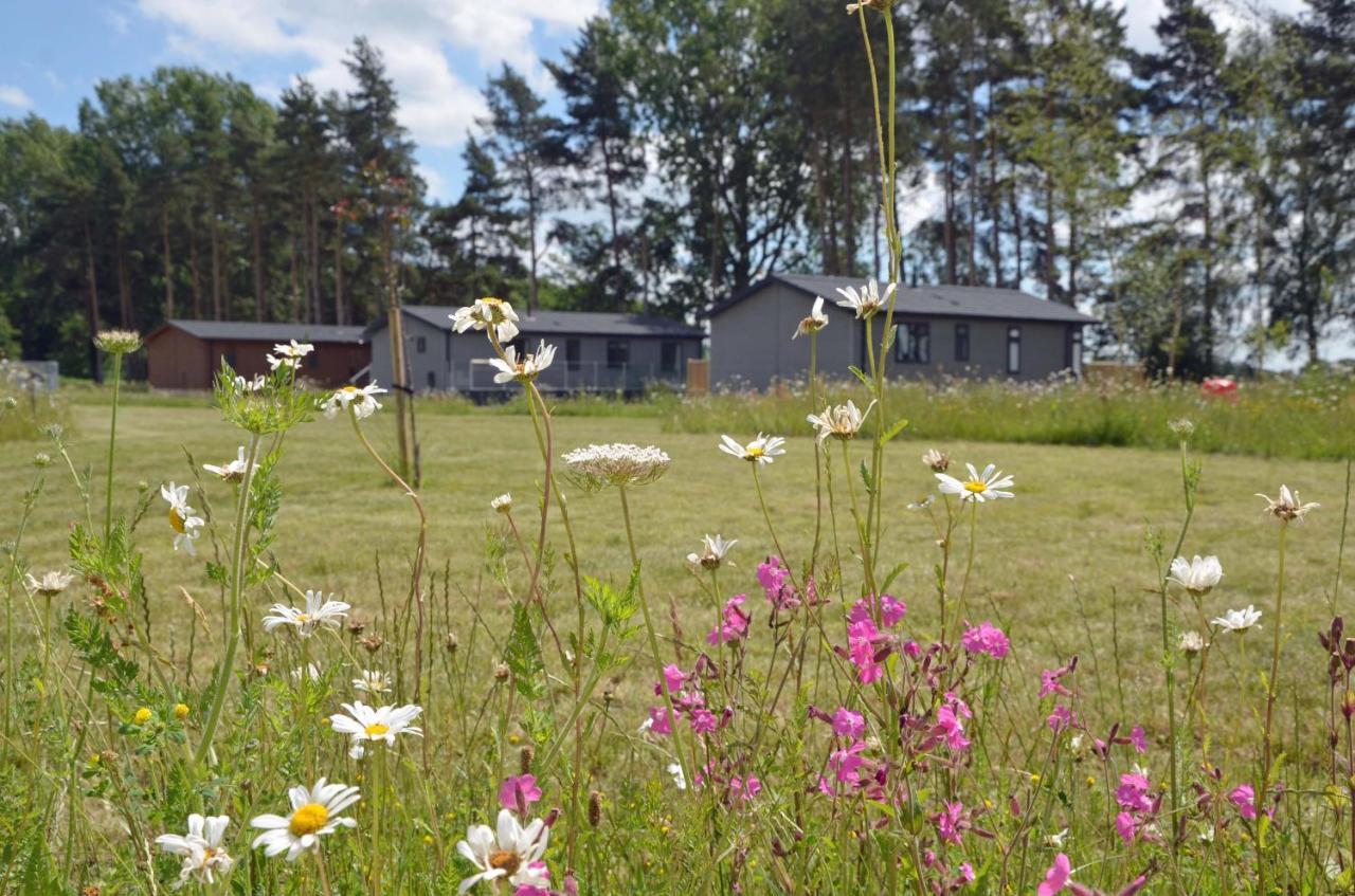 Hollicarrs - Bumblebee Lodge *